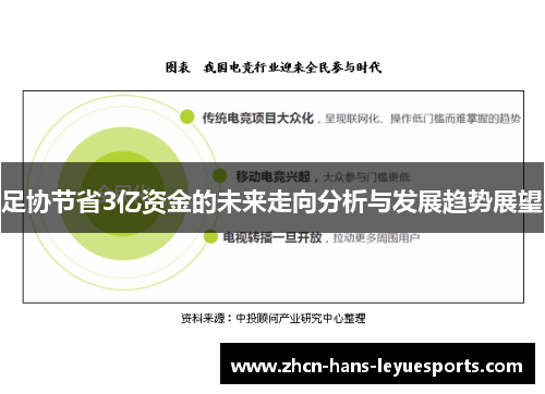 足协节省3亿资金的未来走向分析与发展趋势展望