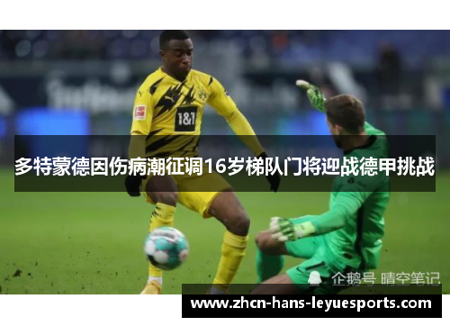 多特蒙德因伤病潮征调16岁梯队门将迎战德甲挑战 多特蒙德因伤病潮征调16岁梯队门将迎战德甲挑战